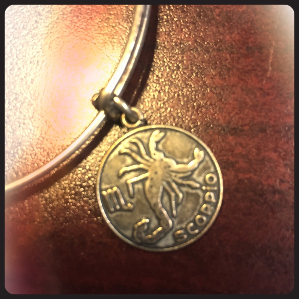 Alex and ani scorpio bracelet